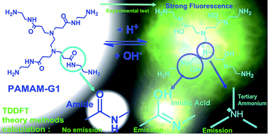 Graphical abstract: A study using quantum chemical theory methods on the intrinsic fluorescence emission and the possible emission mechanisms of PAMAM