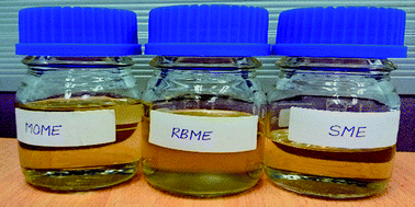 Graphical abstract: Evaluation of rice bran, sesame and moringa oils as feasible sources of biodiesel and the effect of blending on their physicochemical properties