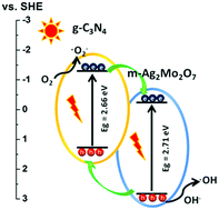 Graphical abstract: Visible light-driven g-C3N4/m-Ag2Mo2O7 composite photocatalysts: synthesis, enhanced activity and photocatalytic mechanism