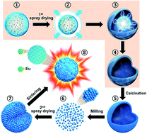 Graphical abstract: Large-scale production of spherical Y2O3:Eu3+ phosphor powders with narrow size distribution using a two-step spray drying method