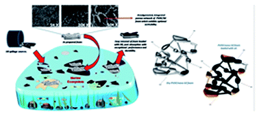 Graphical abstract: Hierarchically porous PVDF/nano-SiC foam for distant oil-spill cleanups