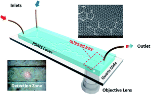 Graphical abstract: A highly sensitive microfluidics system for multiplexed surface-enhanced Raman scattering (SERS) detection based on Ag nanodot arrays