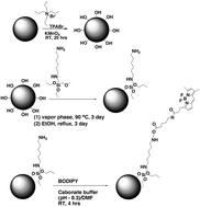 Graphical abstract: Fluorescent carbon by covalently attaching a BODIPY fluorophore