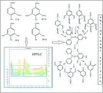 Graphical abstract: HPTLC-densitometric determination and kinetic studies on antioxidant potential of monomeric phenolic acids (MPAs) from Bergenia species