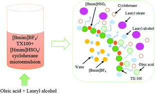 Graphical abstract: Esterification of oleic acid in [Bmim]BF4/[Hmim]HSO4 + TX-100/cyclohexane ionic liquid microemulsion
