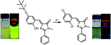 Graphical abstract: New insight into the application of GFP chromophore inspired derivatives: a F− fluorescent chemodosimeter