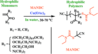 Graphical abstract: Facile and highly efficient “living” radical polymerization of hydrophilic vinyl monomers in water