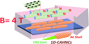 Graphical abstract: One-dimensional core–shell cellulose-akaganeite hybrid nanocrystals: synthesis, characterization, and magnetic field induced self-assembly