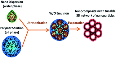 Graphical abstract: Segregated polymeric nanocomposites with tunable three-dimensional network of nanoparticles by controlling the dispersion and distribution