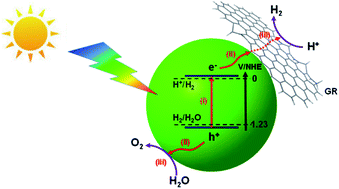 Graphical abstract: Graphene-based photocatalysts for oxygen evolution from water