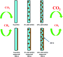Graphical abstract: Continuous polycrystalline ZIF-8 membrane supported on CO2-selective mixed matrix supports for CO2/CH4 separation