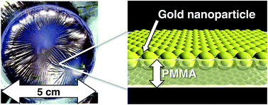Graphical abstract: Selective implantation of gold nanoparticles onto the surface on one side of a self-standing polymer film