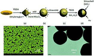 Graphical abstract: A novel process to prepare a thin silica shell on the PDDA-stabilized spherical Au nanoparticles assisted by UV light irradiation