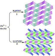 Graphical abstract: Two 3D photoluminescent Zn(ii) complexes constructed from 5-amino-1-H-tetrazole with aromatic polycarboxylate ligands