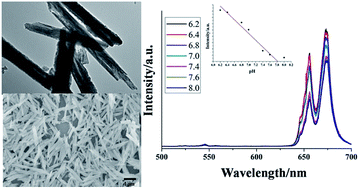 Graphical abstract: A long-wave optical pH sensor based on red upconversion luminescence of NaGdF4 nanotubes