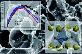 Graphical abstract: Modified strontium titanates: from defect chemistry to SOFC anodes