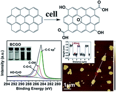 Graphical abstract: Microbial oxidation of graphite by Acidithiobacillus ferrooxidans CFMI-1