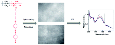 Graphical abstract: Diblock copolymers composed of a liquid crystalline azo block and a poly(dimethylsiloxane) block: synthesis, morphology and photoresponsive properties