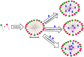 Graphical abstract: Solubilization and co-solubilization of carbamazepine and nifedipine in mixed micellar systems: insights from surface tension, electronic absorption, fluorescence and HPLC measurements