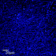 Graphical abstract: Synthesis of fluorescent carbon nanoparticles grafted with polystyrene and their fluorescent fibers processed by electrospinning