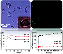 Graphical abstract: Multifunctional biodegradable terbium-doped calcium phosphate nanoparticles: facile preparation, pH-sensitive drug release and in vitro bioimaging