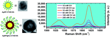 Graphical abstract: Facile synthesis of silver and bimetallic silver–gold nanoparticles and their applications in surface-enhanced Raman scattering