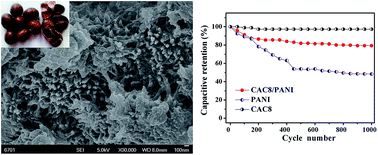 Graphical abstract: A multi-level structure bio-carbon composite with polyaniline for high performance supercapacitors
