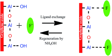 Graphical abstract: Graphene oxide–aluminium oxyhydroxide interaction and its application for the effective adsorption of fluoride