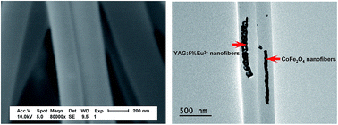 Graphical abstract: Tuned magnetism–luminescence bifunctionality simultaneously assembled into flexible Janus nanofiber