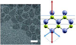 Graphical abstract: Ligand-stabilized CdSe nanoplatelet hybrid structures with tailored geometric and electronic properties. New insights from theory