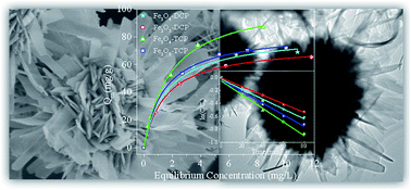 Graphical abstract: Chrysanthemum-like 3D hierarchical magnetic γ-Fe2O3 and Fe3O4 superstructures: facile synthesis and application in adsorption of organic pollutants from water