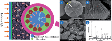 Graphical abstract: Rutile TiO2 mesocrystallines with aggregated nanorod clusters: extremely rapid self-reaction of the single source and enhanced dye-sensitized solar cell performance