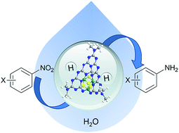 Graphical abstract: Bio-inspired noble metal-free reduction of nitroarenes using NiS2+x/g-C3N4