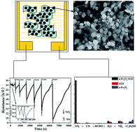Graphical abstract: Highly selective NO2 sensor at room temperature based on nanocomposites of hierarchical nanosphere-like α-Fe2O3 and reduced graphene oxide