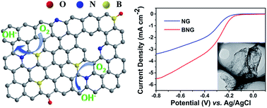 Graphical abstract: Two-step synthesis of boron and nitrogen co-doped graphene as a synergistically enhanced catalyst for the oxygen reduction reaction
