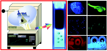 Graphical abstract: Waste chicken eggshell as low-cost precursor for efficient synthesis of nitrogen-doped fluorescent carbon nanodots and their multi-functional applications