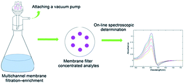 Graphical abstract: Determination of trace analytes based on diffuse reflectance spectroscopic techniques: development of a multichannel membrane filtration-enrichment device to improve repeatability