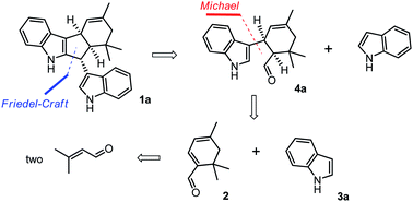 Graphical abstract: One-pot biomimetic total synthesis of yuehchukene via the organocatalytic alkylation–cyclization process of a sterically encumbered α-alkyl enal