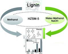 Graphical abstract: Solvent effect on HZSM-5 catalyzed solvolytic depolymerization of industrial waste lignin to phenols: superiority of the water–methanol system over methanol
