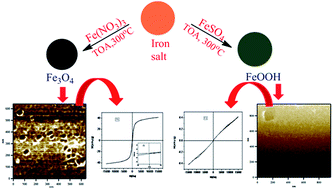 Graphical abstract: Effect of precursor on the formation of different phases of iron oxide nanoparticles