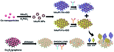 Graphical abstract: Hollow AuPt alloy nanoparticles as an enhanced immunosensing platform for detection of multiple analytes