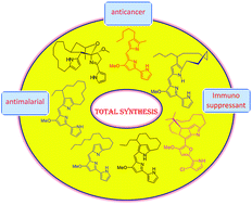 Graphical abstract: Prodigiosin alkaloids: recent advancements in total synthesis and their biological potential