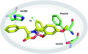 Graphical abstract: Phenylalanine iminoboronates as new phenylalanine hydroxylase modulators