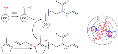 Graphical abstract: Glycogen-graft-poly(2-alkyl-2-oxazolines) – the new versatile biopolymer-based thermoresponsive macromolecular toolbox