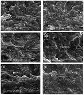 Graphical abstract: Enzymatically degradable EMI shielding materials derived from PCL based nanocomposites