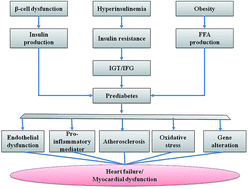 Graphical abstract: Prediabetes: grounds of pitfall signalling alteration for cardiovascular disease