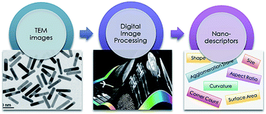 Graphical abstract: Towards defining new nano-descriptors: extracting morphological features from transmission electron microscopy images