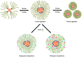 Graphical abstract: Synthesis and encapsulation of an amphiphilic thermoresponsive star polymer with β-cyclodextrin and hyperbranched poly(oligo(ethylene glycol)methacrylate) as building blocks