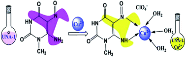 Graphical abstract: A uracil nitroso amine based colorimetric sensor for the detection of Cu2+ ions from aqueous environment and its practical applications