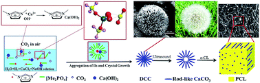 Graphical abstract: Dandelion-like CaCO3 microspheres: ionic liquid-assisted biomimetic synthesis and in situ fabrication of poly(ε-caprolactone)/CaCO3 composites with high performance